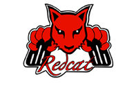 RedCat Racing